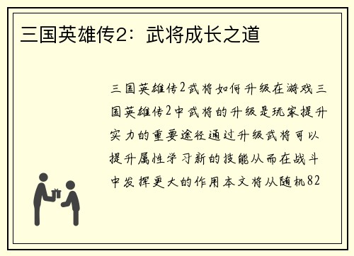 三国英雄传2：武将成长之道